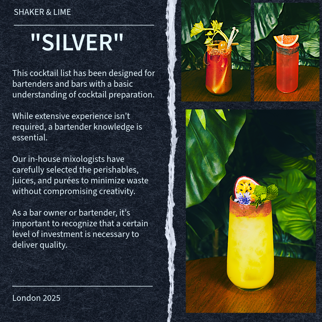 SILVER PACKAGE